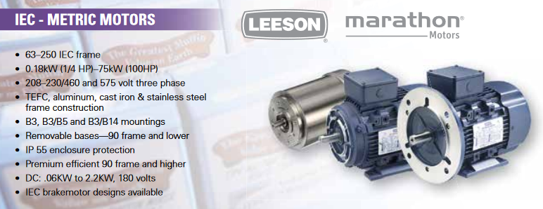 Leeson Marathon IEC Motors